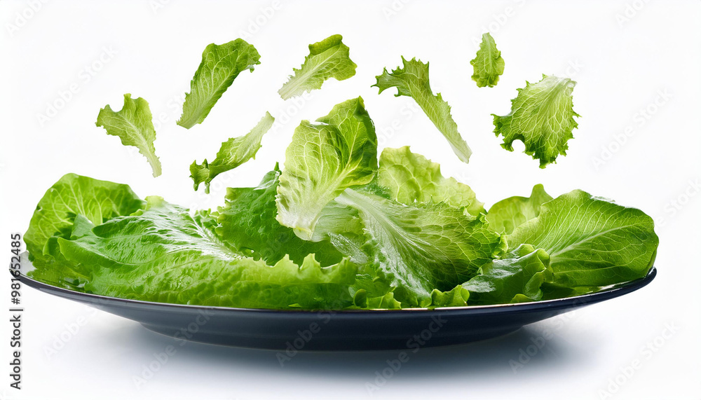 Falling salad, lettuce leaf, isolated on white background, selective focus Falling salad, lettuce leaf, isolated on white background, selective focus