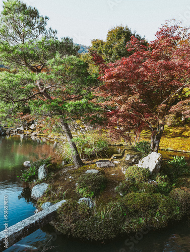 japanese garden in autumn