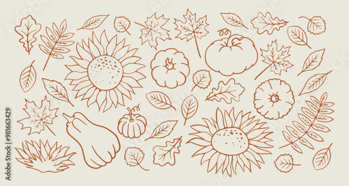 Fall leaf, sunflower and pumpkin doodle. Autumn nature elements. Graphic background with hand drawn illustration. Maple, oak and rowan leaves line art sketch.