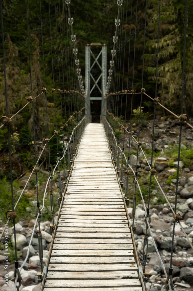 Wooden Slats Across the Carbon River Suspension Bridge Wooden Slats Across the Carbon River Suspension Bridge