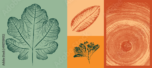 Set of colorful isolated autumn leaves. Grunge foliage stamps of oak maple and sycamore leaves. Tree rings design.
