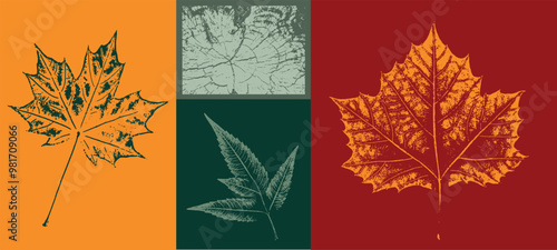 Set of colorful isolated autumn leaves. Grunge foliage stamps of oak maple and sycamore leaves. Tree rings design.
