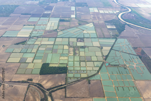 Fotografía Aerial view of catfish farms near Isola, Mississippi, USA