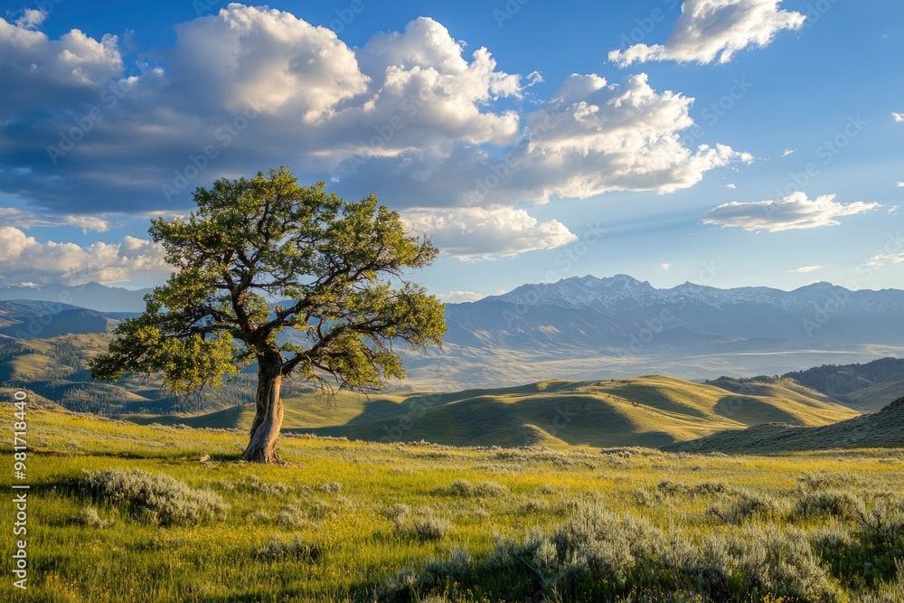 Landscape photo along the Pacific Crest Trail , ai Landscape photo along the Pacific Crest Trail , ai