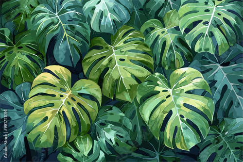 Close up of watercolor illustration of beautiful Monstera deliciosa leaves