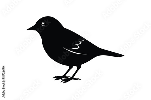 Cute Myna Bird  vector art and illustration photo