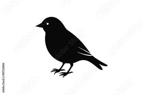 Cute Myna Bird  vector art and illustration photo