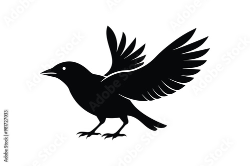 Cute Myna Bird  vector art and illustration
