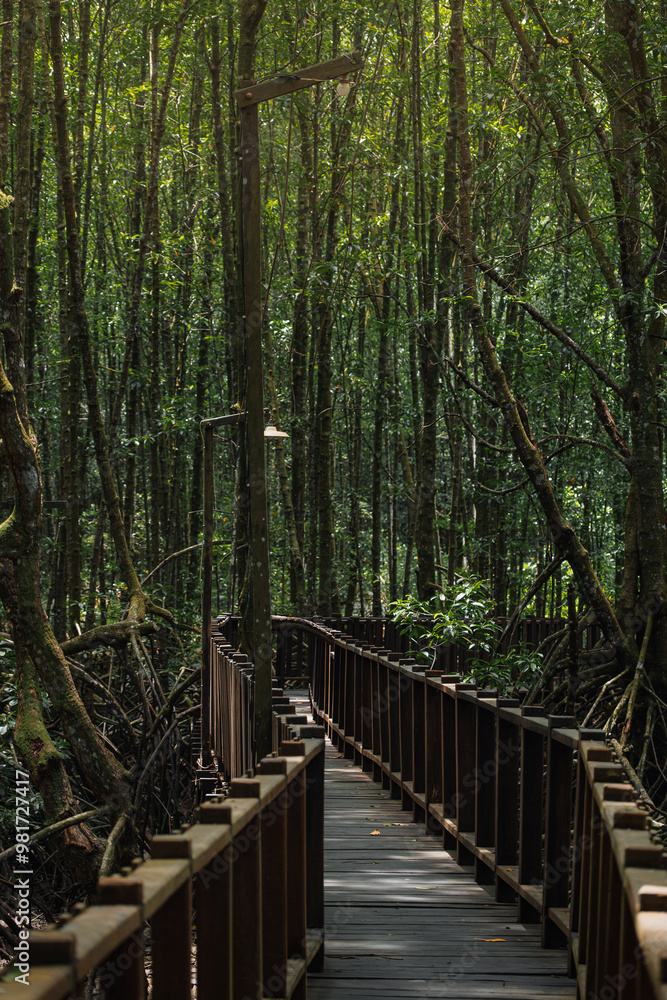 Fototapeta premium Mangrove Boardwalk near Sungai Wain river in East Kalimantan.