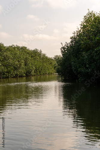 lake and trees Manglares Tumbes  Perú
