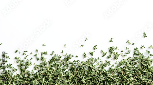 Wallpaper Mural Fresh green leaves against a white background, providing a natural and serene vibe, perfect for nature-themed projects or backgrounds. Torontodigital.ca