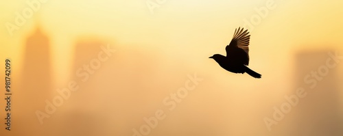 A bird flying through smoke-filled skies photo