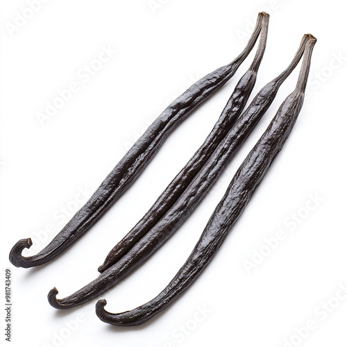 vanilla beans isolated on a white background