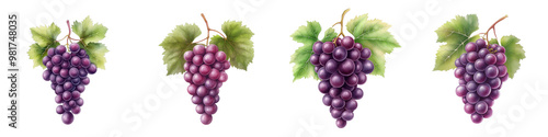 Vibrant bunches of purple grapes with lush green leaves, perfect for adding a touch of nature to your projects.