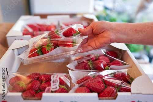 陳列された苺を手に取る女性の手