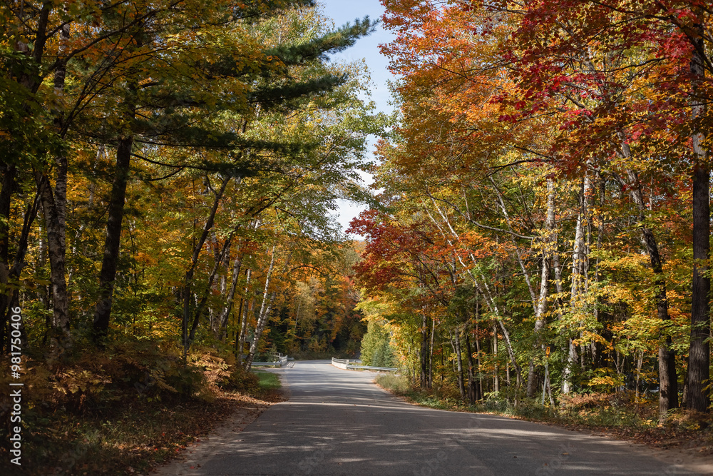 Autumn landscape with road and colorful trees on the side of the road. Algonquin Park, Canada. Autumn landscape with road and colorful trees on the side of the road. Algonquin Park, Canada.