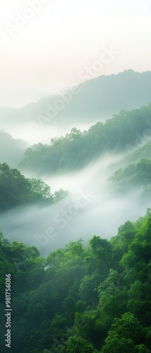 A misty mountain range with trees in the foreground