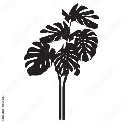 silhouette monstera leafe .eps