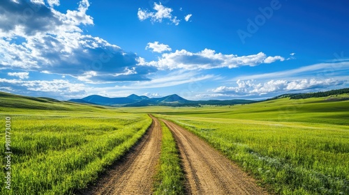 A dirt road cuts through expansive green grassland with mountains on the horizon under a vivid blue sky. Ideal for nature scenes