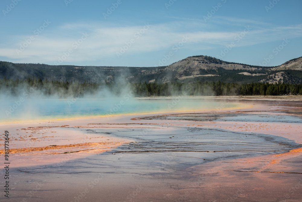Yellowstone national park bright colorful grand prismatic springs in Wyoming hot steam rising from the water pine tree forest in the background. Yellowstone national park bright colorful grand prismatic springs in Wyoming hot steam rising from the water pine tree forest in the background.