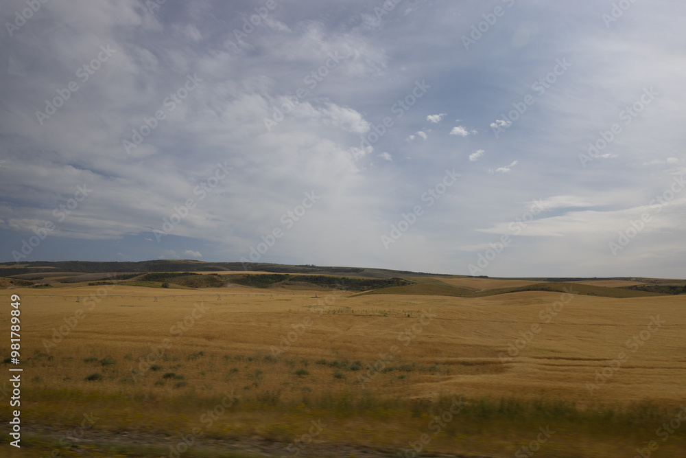 Fototapeta premium Beautiful landscape photograph of wide open grassland and calming cloudy sky photo taken from moving car motion blur in foreground.