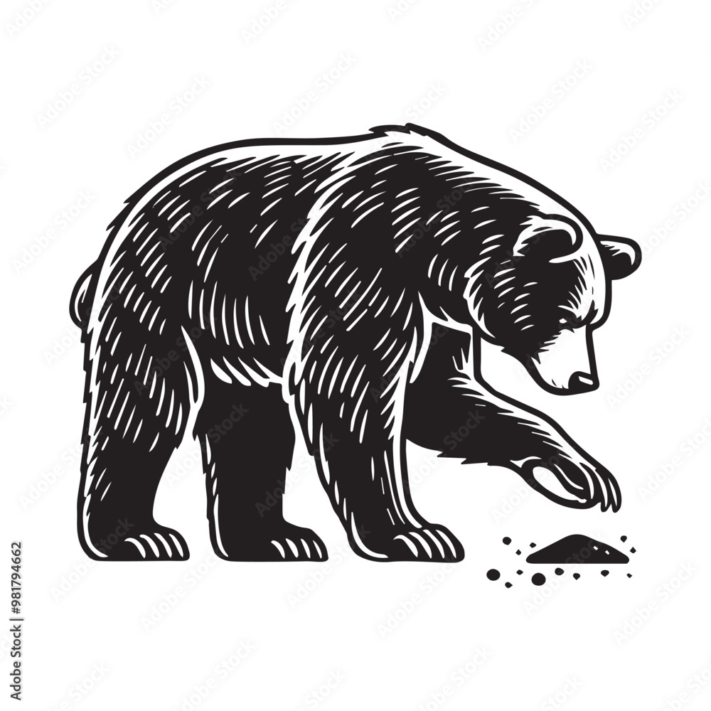 Bear Outline Design - Bear vector illustration in black and white Bear Outline Design - Bear vector illustration in black and white