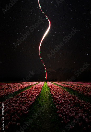 Light painting con drone en Tulipanes Patagonia