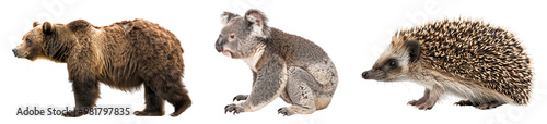 Set of animal groups, including hedgehog, bear, and koala, in full-body shots, isolated on transparent background. photo