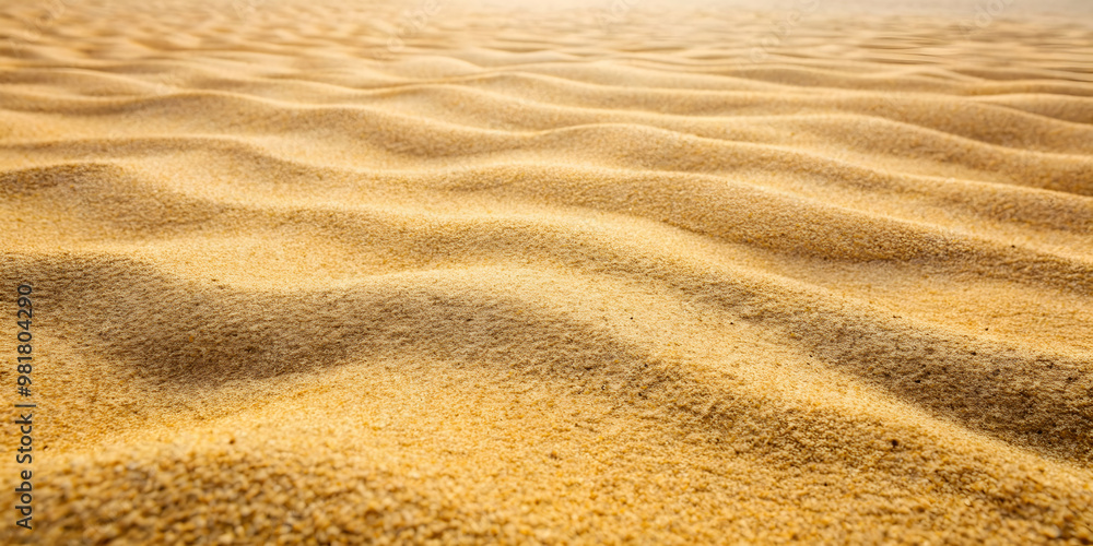 Full frame of fine sand texture on the beach , sand, beach, texture, background, shore, coastal, summer, natural Full frame of fine sand texture on the beach , sand, beach, texture, background, shore, coastal, summer, natural