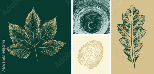 Decorative leaf prints or leaf art. Monotone light green and gray botanical leaf illustrations print.