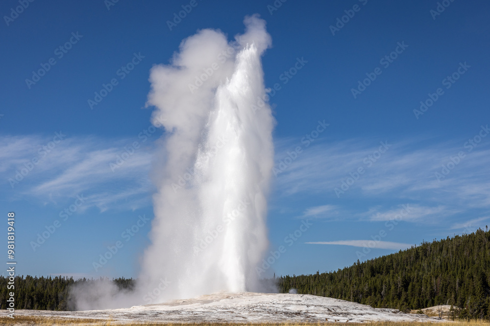 Close up of Old Faithful erupting against a blue sky Yellowstone National Park Close up of Old Faithful erupting against a blue sky Yellowstone National Park