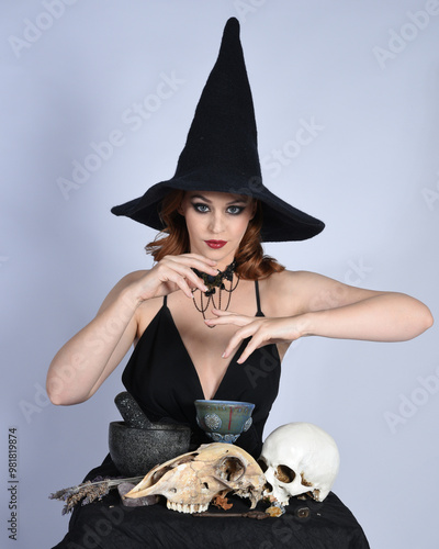 Close up portrait of beautiful  female model wearing black dress, pointy witch hat halloween costume.  Isolated figure on studio background. Casting magic spell at spooky occult  ritual potion table  photo