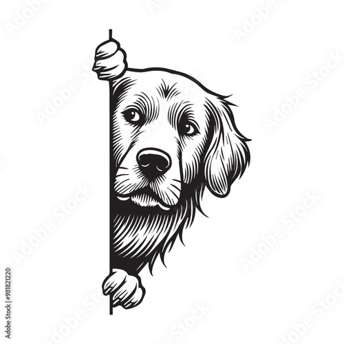 Golden Retriever Dog Peeking Face Clipart -  Peeking Dog Vector illustration in black and white
