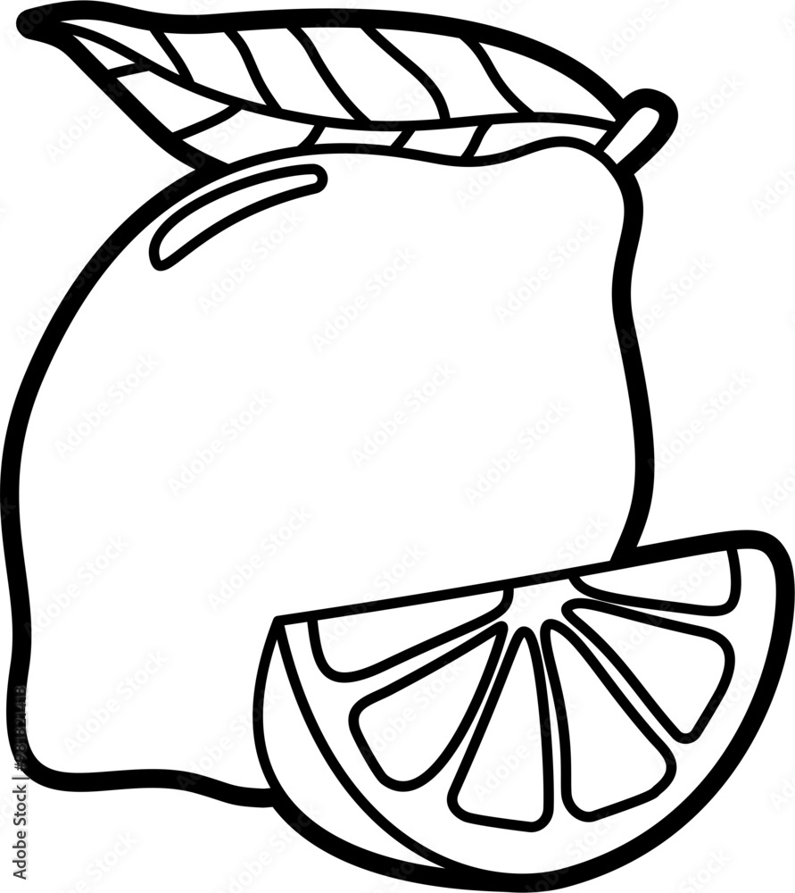 Fototapeta premium Lemon coloring outline illustration vector