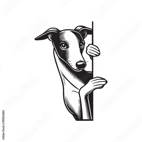Whippet Dog Peeking Face Clipart -  Peeking Dog Vector illustration in black and white
