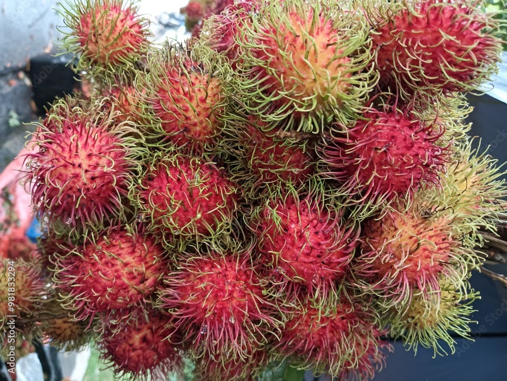 Tropical Fruit,Fresh rambutan fruit with on colorful background Tropical Fruit,Fresh rambutan fruit with on colorful background