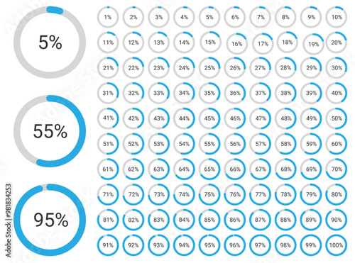 Circle percentage pie chart diagrams infographic