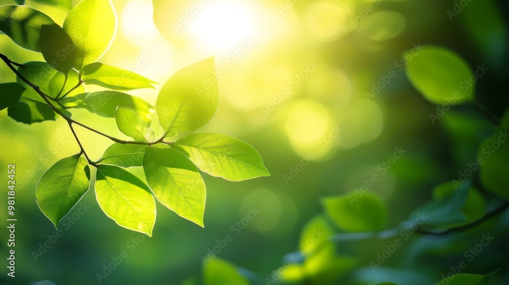 114. Spring sunlight illuminating green leaves, with the sun rays creating lens flares and the foliage moving gently in the breeze, capturing a serene and peaceful natural scene 114. Spring sunlight illuminating green leaves, with the sun rays creating lens flares and the foliage moving gently in the breeze, capturing a serene and peaceful natural scene