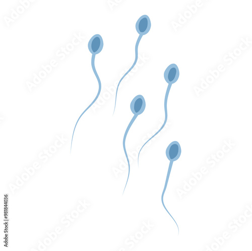 Spermatozoa