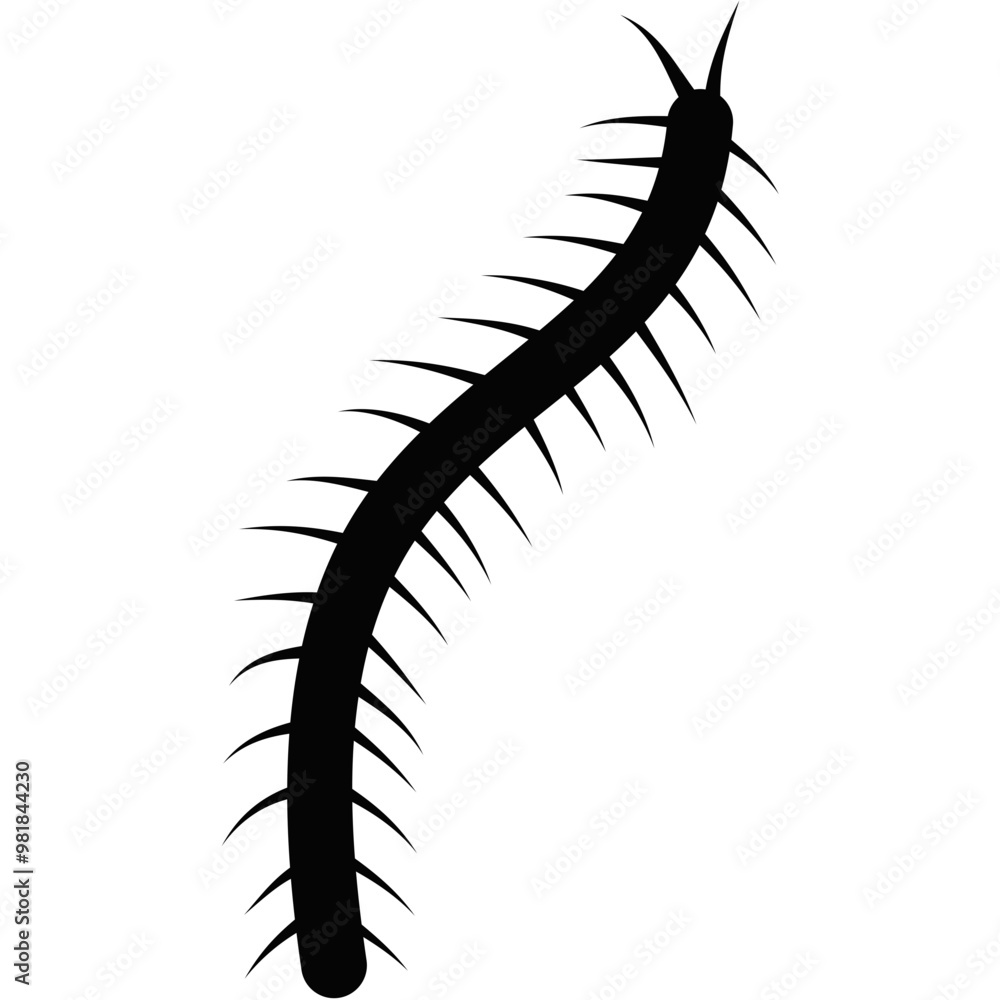 Centipede Silhouette Centipede Silhouette