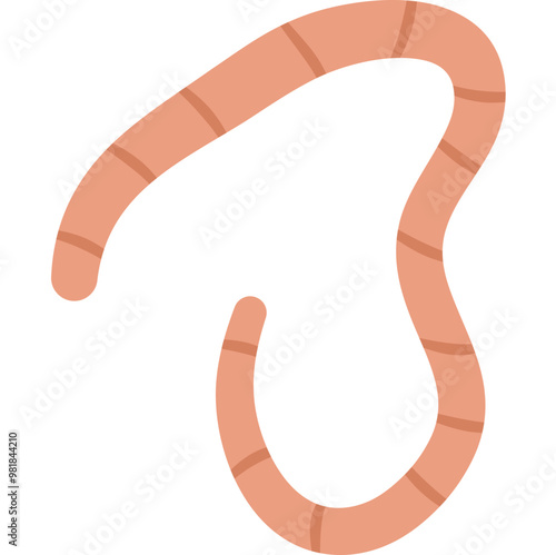 Flat Roundworm