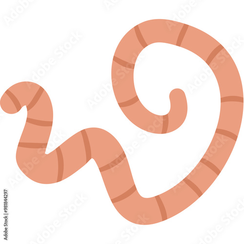 Flat Roundworm