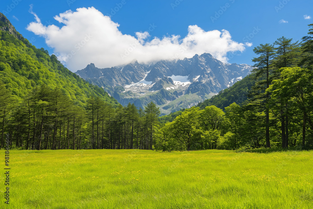 Fototapeta premium Mountain Meadow Landscape majestic mountains under a blue sky