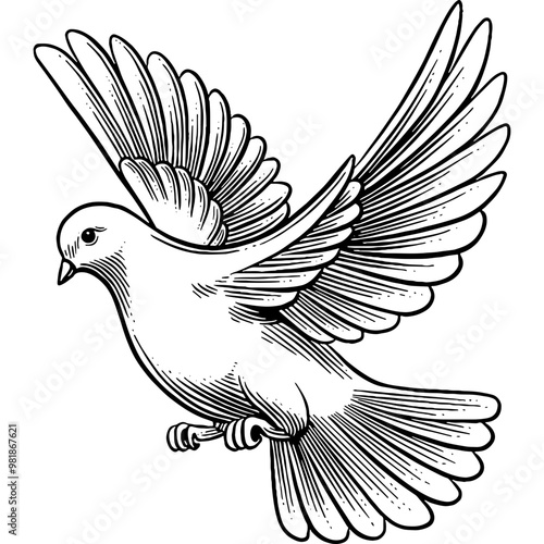 Hand drawn Dove Flying Sketch Illustration Engraving Woodcut Vintage Style Vector Line Art