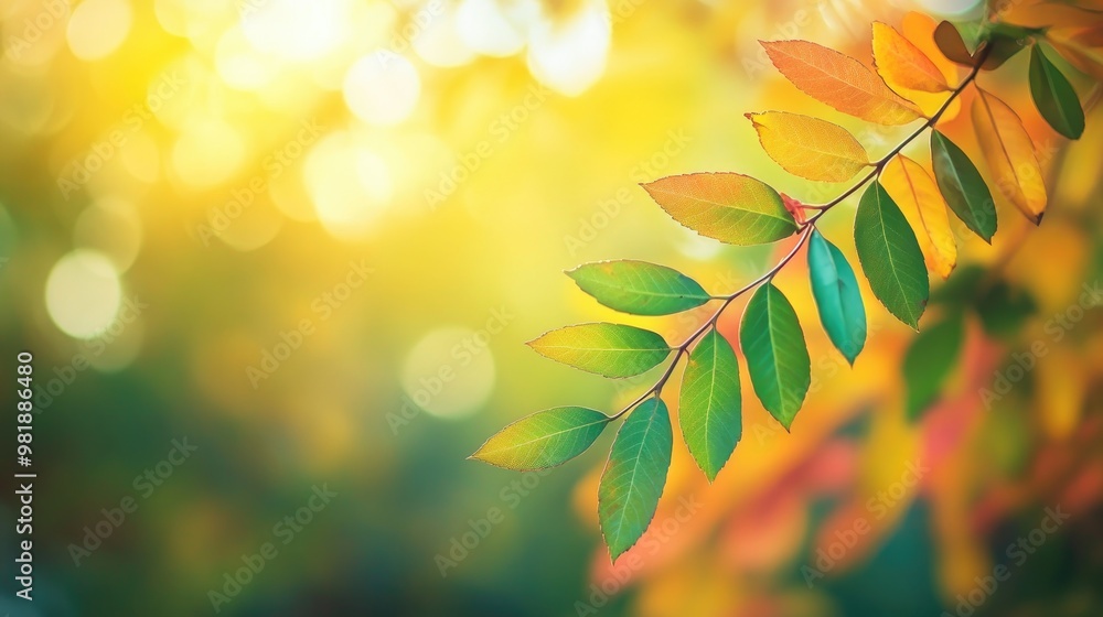 Beautiful close-up of colorful leaves on a tree branch, showcasing rich greens and yellows, with a blurred, realistic forest background