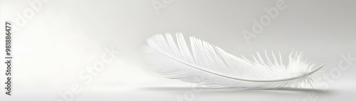 Floating Holographic White Feather Quill Writing Positive Scripts in Mid-Air: Inspiring Narratives for Cognitive Reframing - Stock Photo Concept photo