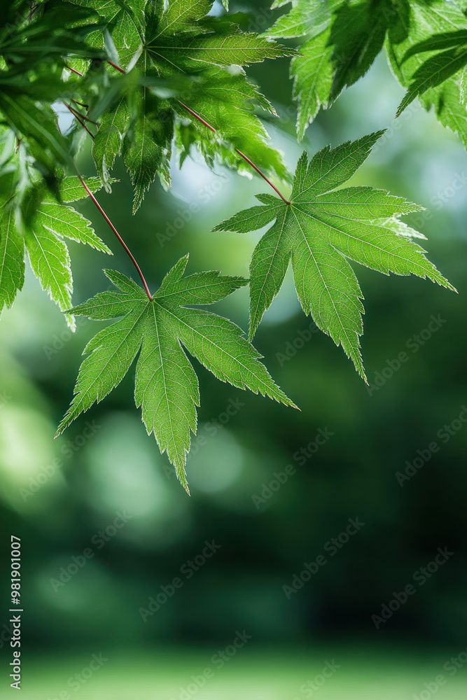 Green maple leaves for autumn social media vertical background campaign Green maple leaves for autumn social media vertical background campaign