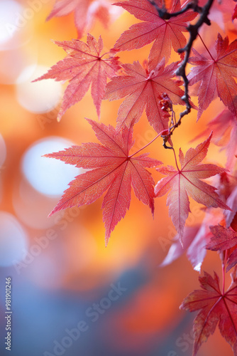 Red maple leaves for autumn social media vertical background campaign