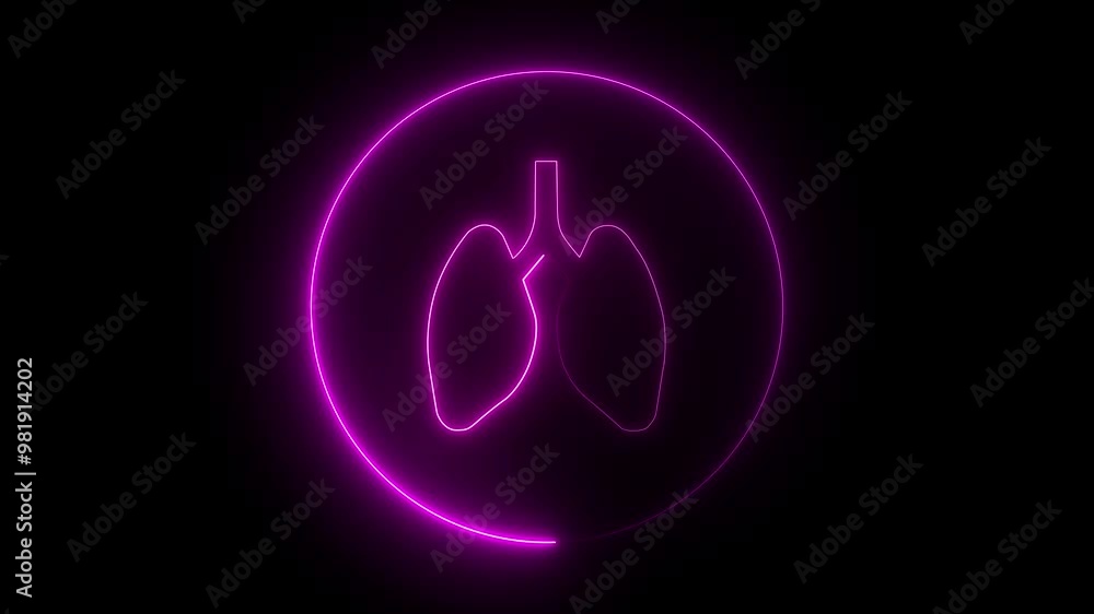 The appearance of the neon glowing symbol lungs. neon human Lung and kidney icon animation .Glowing neon line Lungs icon isolated on black background The appearance of the neon glowing symbol lungs. neon human Lung and kidney icon animation .Glowing neon line Lungs icon isolated on black background