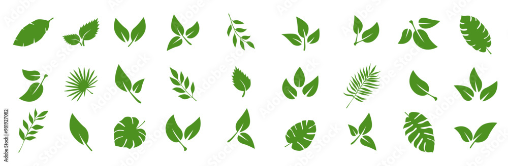 Leaves of trees and plants. Tropical leaves. Set of green leaf icons. Leaves on white background. Ecology. Vector illustration. Leaves of trees and plants. Tropical leaves. Set of green leaf icons. Leaves on white background. Ecology. Vector illustration.
